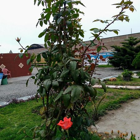 Motel Sahara Suites Barranca Luaran gambar